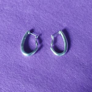 Elegant Silver Hoop Earrings